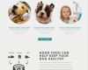 Html Website Vorlagen Wunderbar Website Vorlage Für Hunde