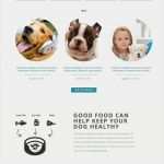 Html Website Vorlagen Wunderbar Website Vorlage Für Hunde