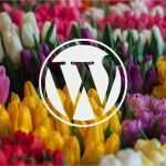 Html5 formular Vorlage Wunderbar Die Besten HTML theme Templates Mit Css Free