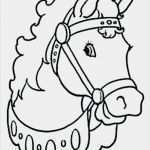 Hufeisen Vorlage Zum Ausdrucken Angenehm Malvorlage Pferd Aus Ausmal Ausmalbild Pferd Mit Fohlen