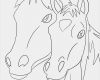 Hufeisen Vorlage Zum Ausdrucken Best Of Ausmalbilder Mit Pferden Kostenlos Malvorlagen Zum