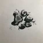 Hunde Tattoos Vorlagen Bewundernswert Hundepfote Tattoo Hunde Tattoos Pinterest