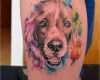 Hunde Tattoos Vorlagen Erstaunlich Tattoo Süsser Hund Motiv Tattoo Ideen