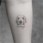 Hunde Tattoos Vorlagen Genial Fotorealistische Tattoo Motive Kleines Hund Tattoo