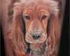 Hunde Tattoos Vorlagen Schön Foto Hunde Tattoos Ein Hervorstechender Realismus
