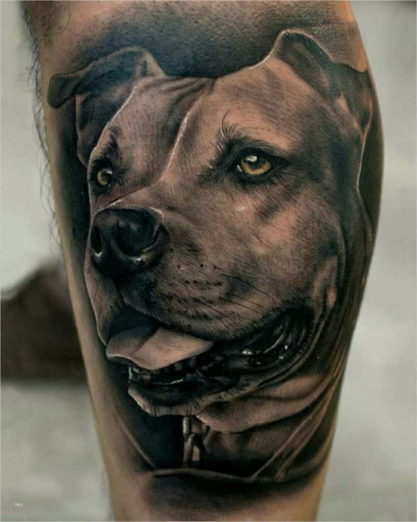 Hunde Tattoos Vorlagen Schönste Tattoo Done by Pablo Hernandez Bambamsi