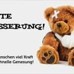 Hundehaftpflicht Kündigen Hund tot Vorlage Einzigartig Gute Besserung Sprüche Und Genesungswünsche