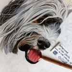 Hundehaftpflicht Kündigen Hund tot Vorlage Großartig Pastellzeichnung Havaneser Charly &amp; Bonnie