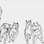 Husky Tattoo Vorlagen Bewundernswert Team Der Schlitten Hunde Schwarz Weiße Version
