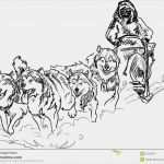 Husky Tattoo Vorlagen Fabelhaft Chiens De Traîneau D Alaska Illustration Stock Image
