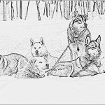 Husky Tattoo Vorlagen Wunderbar Coloriage Chiens De Traineau à Imprimer Pour Les Enfants