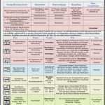 Hygiene Vorlagen Best Of Hygieneplan Küche