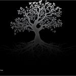 Hygiene Vorlagen Elegant norfolk Dental Hygiene Website Tayebouch