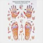 Hygieneplan Fußpflege Vorlage Luxus Lehrtafel Reflex Fuß U Hand