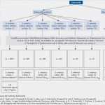 Hygieneplan Gastronomie Vorlage Gut Rki Rki Ratgeber Für Ärzte Salmonellose