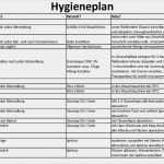 Hygieneplan Küche Vorlage Schön Praxis Gember Hygieneplan