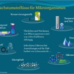 Hygieneplan Küche Vorlage Wunderbar Hygiene In Der Kuche Haccp