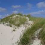 Hygieneplan Physiotherapie Vorlage Einzigartig Heilpraktiker Rechnung Muster Honorarrechnung Vorlage