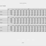 Hygieneplan Vorlage Word Angenehm Businessplan Vorlage Word Inspirational Nett Business Plan