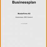 Hygieneplan Vorlage Word Erstaunlich 7 Businessplan Muster Kostenlos Pdf