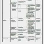 Hygieneplan Vorlage Word Erstaunlich Med Online