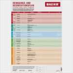 Hygieneplan Vorlage Word Süß Baehr Desinfektionsplan