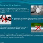 Hygieneschulung Gastronomie Vorlage Cool Haccp Hygieneschulung Haccp Schulung Auf Cd Rom Vorlage