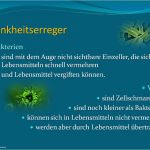 Hygieneschulung Gastronomie Vorlage Einzigartig Haccp Hygieneschulung Haccp Schulung Auf Cd Rom Vorlage
