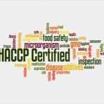 Hygieneschulung Gastronomie Vorlage Wunderbar Hygiene In Der Kuche Haccp