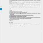 Icf Befund Vorlage Fabelhaft Förderplanung Auf Basis Der Icf Pdf