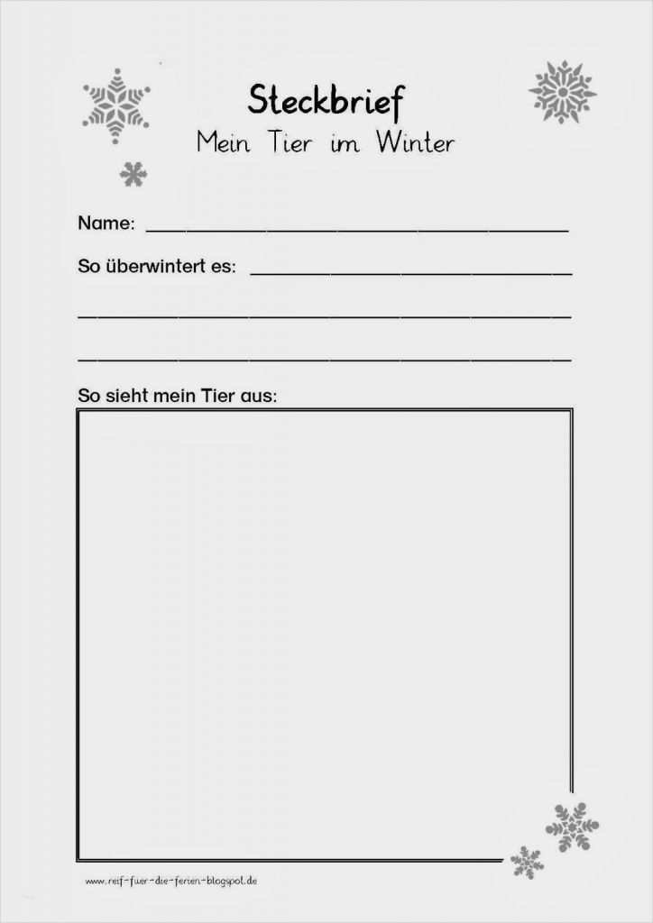Ich Buch Vorlage Kita Gut Tiersteckbrief Steckbriefe Pinterest