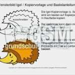 Igel Aus tonpapier Vorlage Schön Igel Basteln Aus tonpapier – Die Beste Wohnkultur