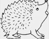 Igel Basteln Vorlage Zum Ausdrucken Bewundernswert Ausmalbilder Igel Kostenlos Malvorlagen Zum Ausdrucken