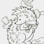 Igel Basteln Vorlage Zum Ausdrucken Neu Ausmalbilder Igel Kostenlos Malvorlagen Zum Ausdrucken