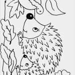 Igel Basteln Vorlage Zum Ausdrucken Wunderbar Die Besten 25 Ausmalbilder Herbst Ideen Auf Pinterest