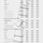 Ihk Berichtsheft Vorlage Nrw Erstaunlich Abschlusszeugnis Abiturzeugnis Kaufen