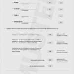 Ihk Berichtsheft Vorlage Nrw Erstaunlich Ihk Berichtsheft Vorlage Nrw Hübsch Abiturzeugnisse