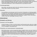 Ihk Businessplan Vorlage Pdf Schön Businessplan Gründer sorglos Susi Branche Handel