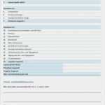 Ihk Businessplan Vorlage Schön Vorlage Für Einen Schülerfirmen Businessplan Pdf