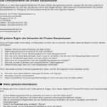 Ihk Businessplan Vorlage Word Best Of Ausgezeichnet Kundeninformationsvorlage Zeitgenössisch