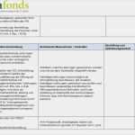 Iks Vorlage Bewundernswert Vorlage Internes Kontrollsystem Iks Wohlfahrtsstiftung