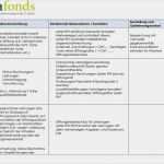 Iks Vorlage Fabelhaft Vorlage Internes Kontrollsystem Iks Wohlfahrtsstiftung