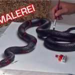 Illusionsmalerei Vorlagen Angenehm Malen Mit 3d Effekt │ Realistische Schlange │optische