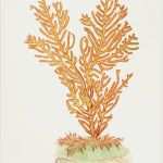 Illustrator Dateien Und Vorlagen Beste Aquarium Vektoren Fotos Und Psd Dateien