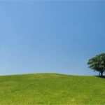 Illustrator Dateien Und Vorlagen Cool Bilder Von Wolken Für Shop Indesign Und Illustrator