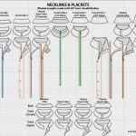 Illustrator Pfeil Vorlage Schön Die Besten 25 Modeskizzenvorlage Ideen Auf Pinterest