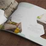 Immobilien Expose Vorlage Download Kostenlos Wunderbar Exposé Vorlagen Für Immobilien Und Häuser Word Indesign