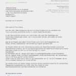 Immobilienmakler Vertrag Vorlage Süß Empfehlung Schreiben Schule Pertamini