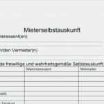 Immobilienscout Mietvertrag Vorlage Genial Selbstauskunft Mieter Vorlage