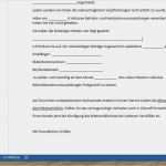 Immobilienscout Mietvertrag Vorlage Süß Selbstauskunft Mieter Vorlage